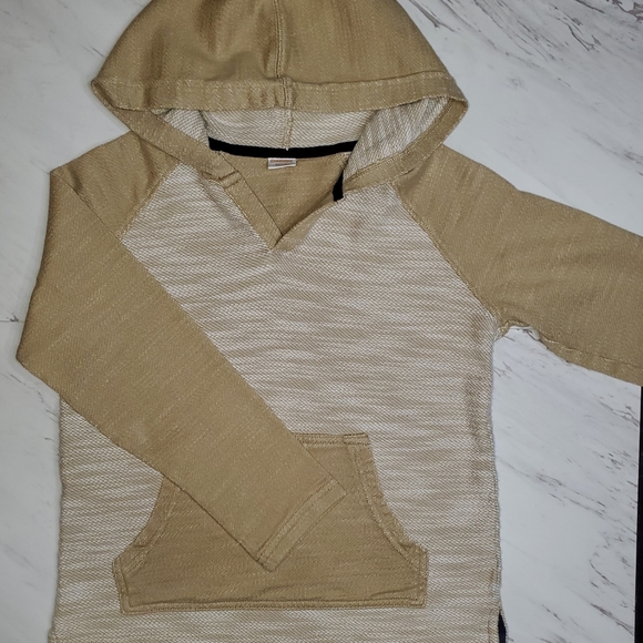 Gymboree Other - Boys Baha Hoodie